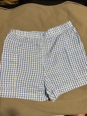 Willow Blue and White Gingham Shorts